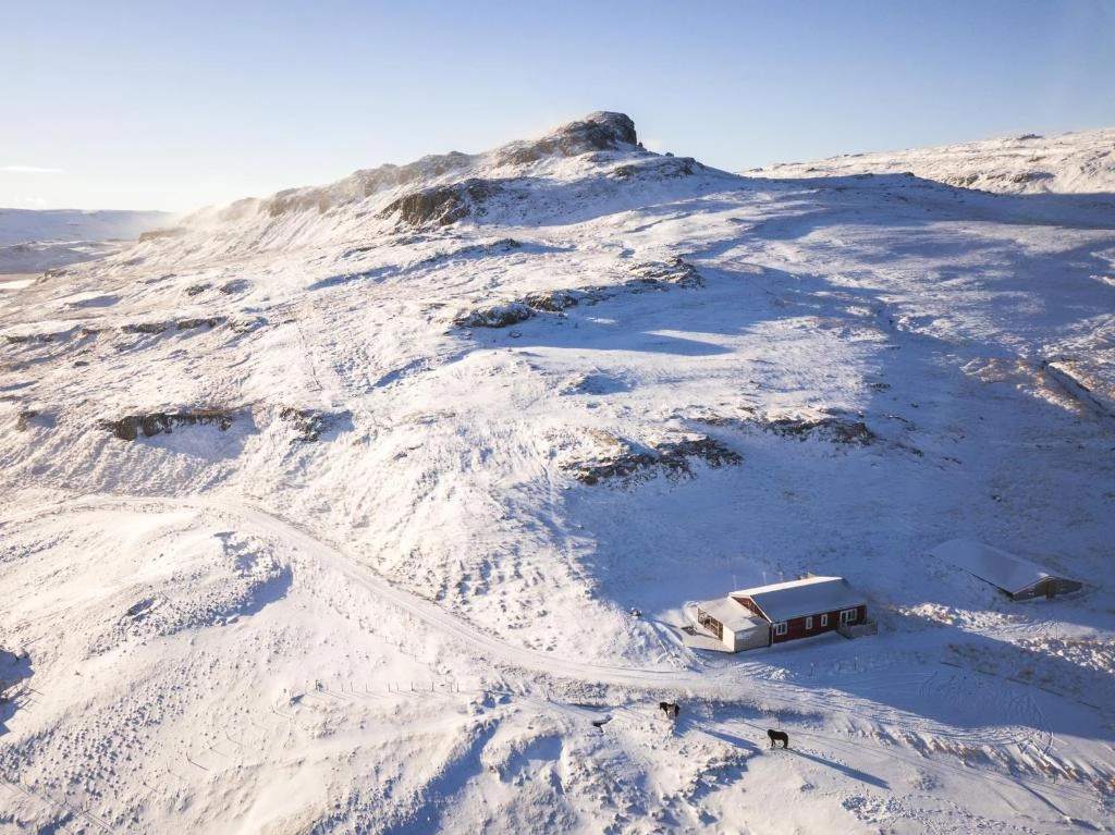 Litlabjarg Guesthouse - snow covered mountain landscape with the red guesthouse and Icelandic horses